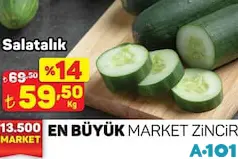 SALATALIK KG fiyat ve kampanya bilgisi